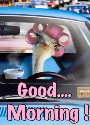 b61e4eb7347558e0373151db431fe933[1].jpg