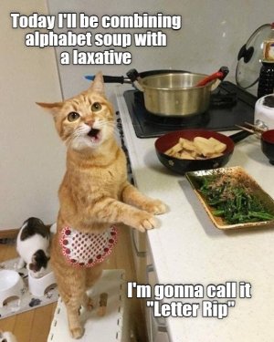 follow-me-for-more-cooking-tips.jpg