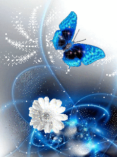 butterfly-234977.gif