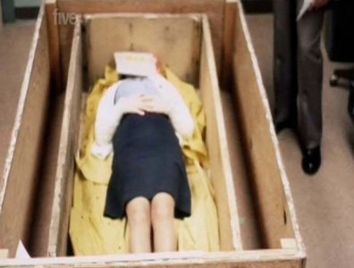 stan box body.jpg