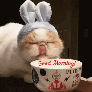 good-morning-gif-58.gif