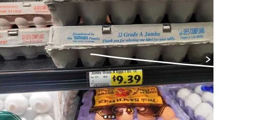 eggs.JPG