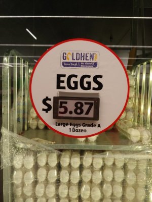 eggs2.jpg