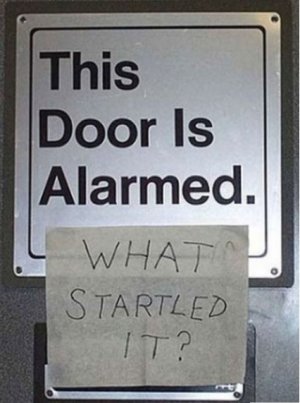 alarmed door.jpg
