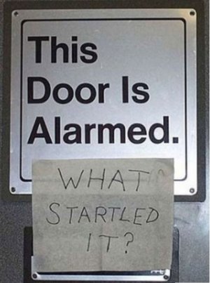 alarmed door.jpg