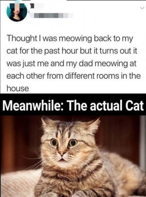 B9F177EB-375F-40BF-9460-7EA088328D7A.jpeg