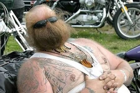 Bearded wonder 4.jpg