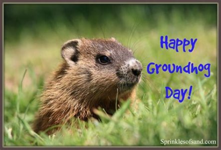 Groundhog Day1.jpg