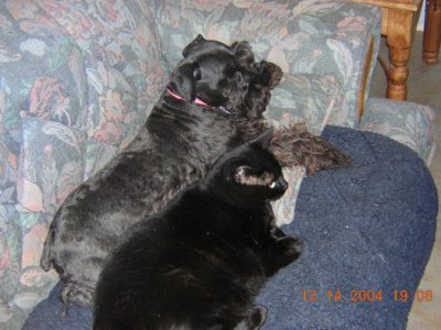 DSCN0574.JPG