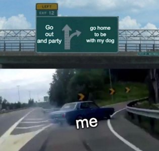 gohomebewdog.jpg