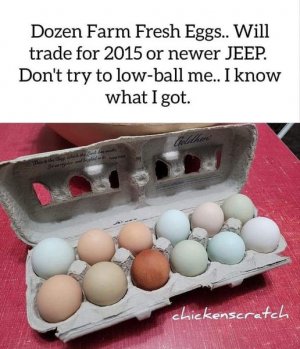 eggs.jpg
