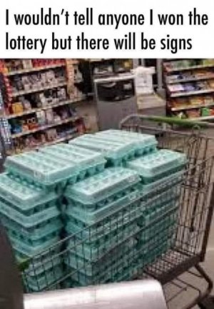 signs.jpeg