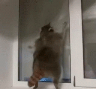 pump-up.gif