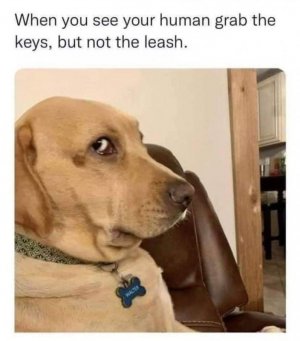 490A7B8D-D8B8-45B2-BBD5-26D1D2B6DD72.jpeg