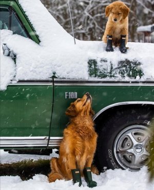 Tumblr_l_358458702220492.jpg