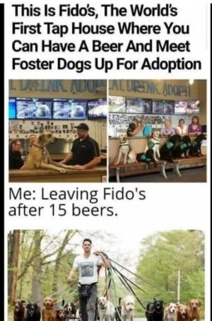 fidosss.jpg