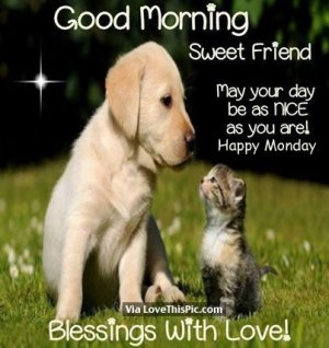 227714-Good-Morning-Sweet-Friend.jpg