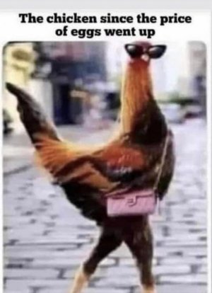 chick joke.jpg