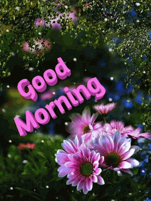 5ced9055c017a45d2e3bce56fbd2841b.gif