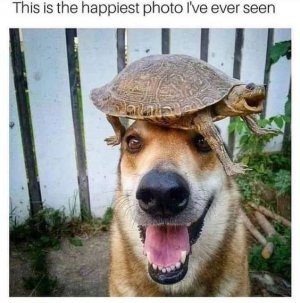 ea834533339c25a48d87e9e58fc76837[1].jpg