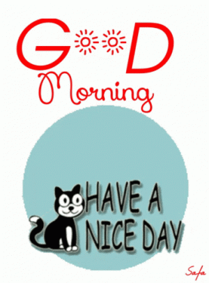 6081944ac82e58bd0400bafdd2978308[1].gif