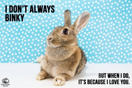 binky.jpg