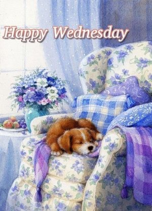 wednesday.jpg