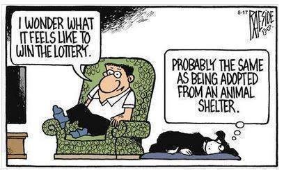 animal shelter.jpg
