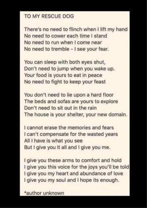 to my rescue dog.jpg