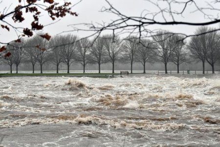 96FBEF20-89BC-4084-9831-7317FF056B19.jpeg 96FBEF20-89BC-4084-9831-7317FF056B19.jpeg