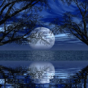 luna-water.gif