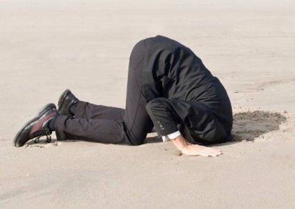 head in sand.jpeg