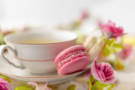 macaroons-7277955__480.jpg