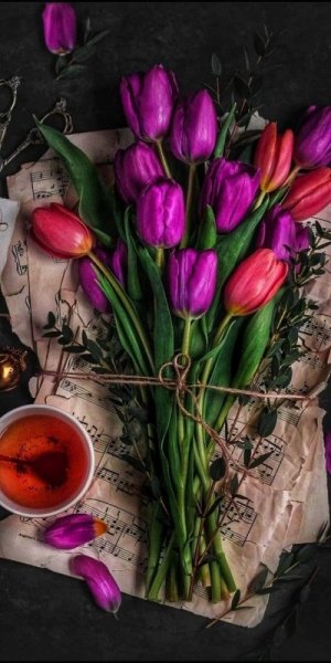 tumblr_c6ab51b4e27de1f99d76700824debc45_9756302c_1280.jpg