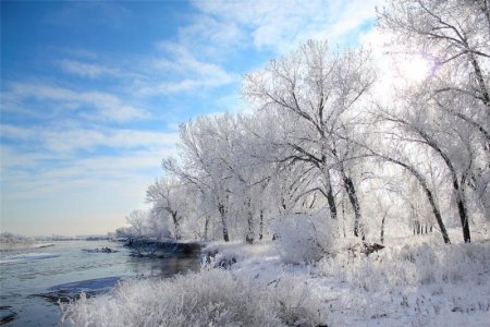 cold6.jpeg