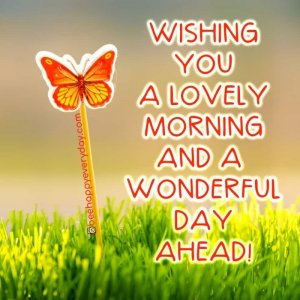 have-a-wonderful-day-wishing-you-a-lovely-morning-ahead.jpg