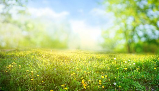 istockphoto-1301592082-170667a.jpg