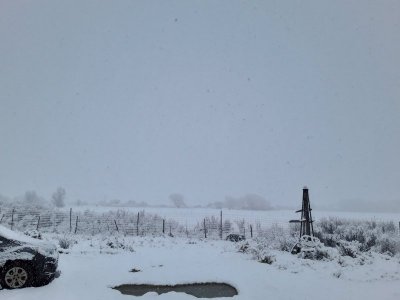 MornSnow Jan 23.jpg