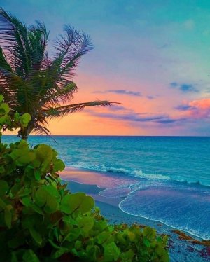 tumblr_9f4783622170144cf561d58c3e27aff9_e255aca7_1280.jpg