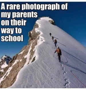FB_IMG_1673346594223.jpg