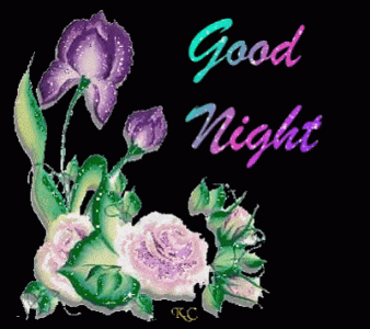 good-night-gif (31).gif