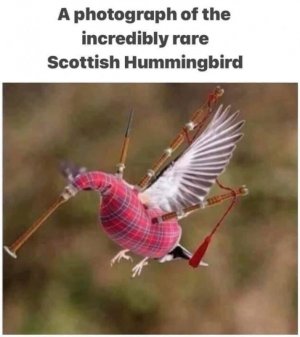9DA93D97-B892-4CE5-9FCE-E600D2A80F8A.jpeg