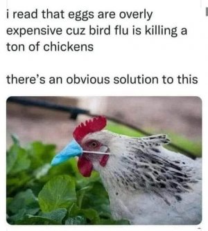 bird flu.jpg