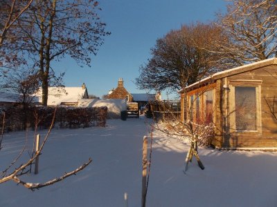 jan171.jpg