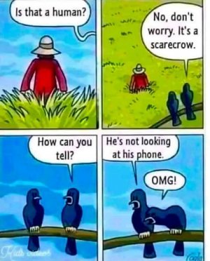 no phone.jpg