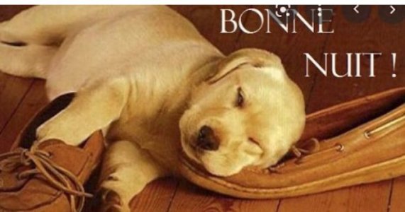 bonne nuit 1 .jpg