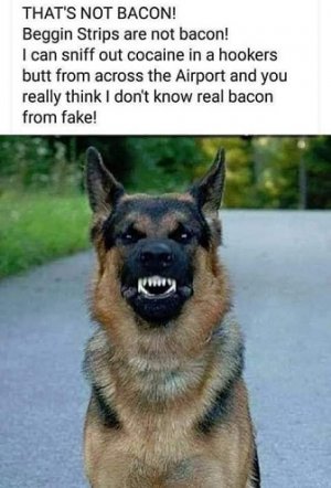 bacon.jpg