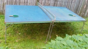 ping pong3.jpg