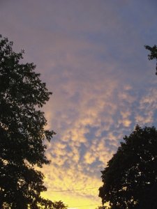 evening sky june 19 2017.jpg