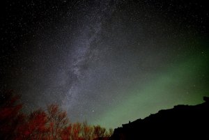 2AF_6608.jpg